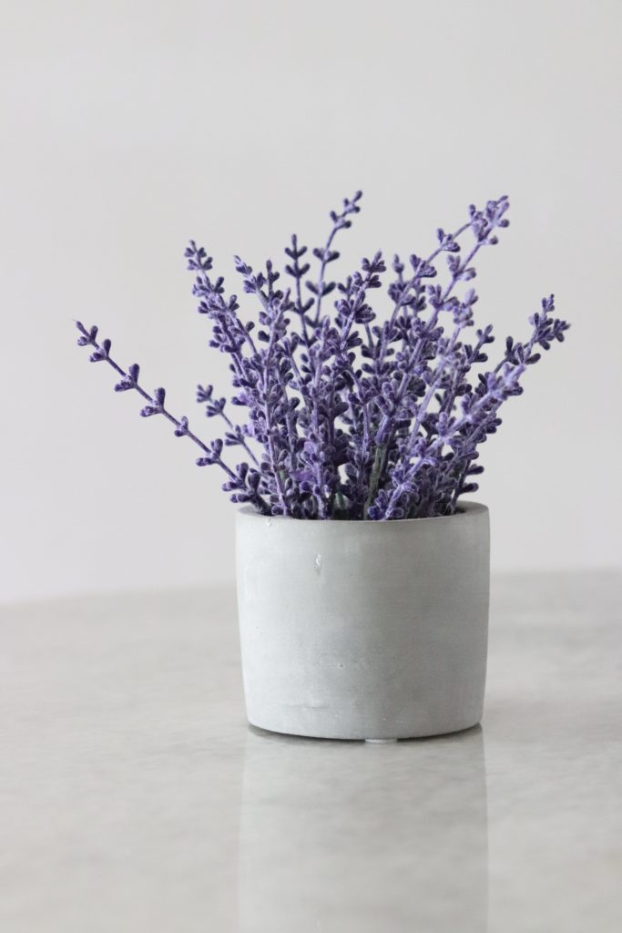 Lavendel